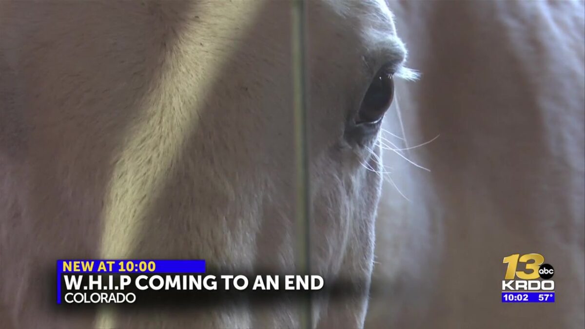 Bureau of Land Management announces the end of Wild Horse Inmate Program in Colorado