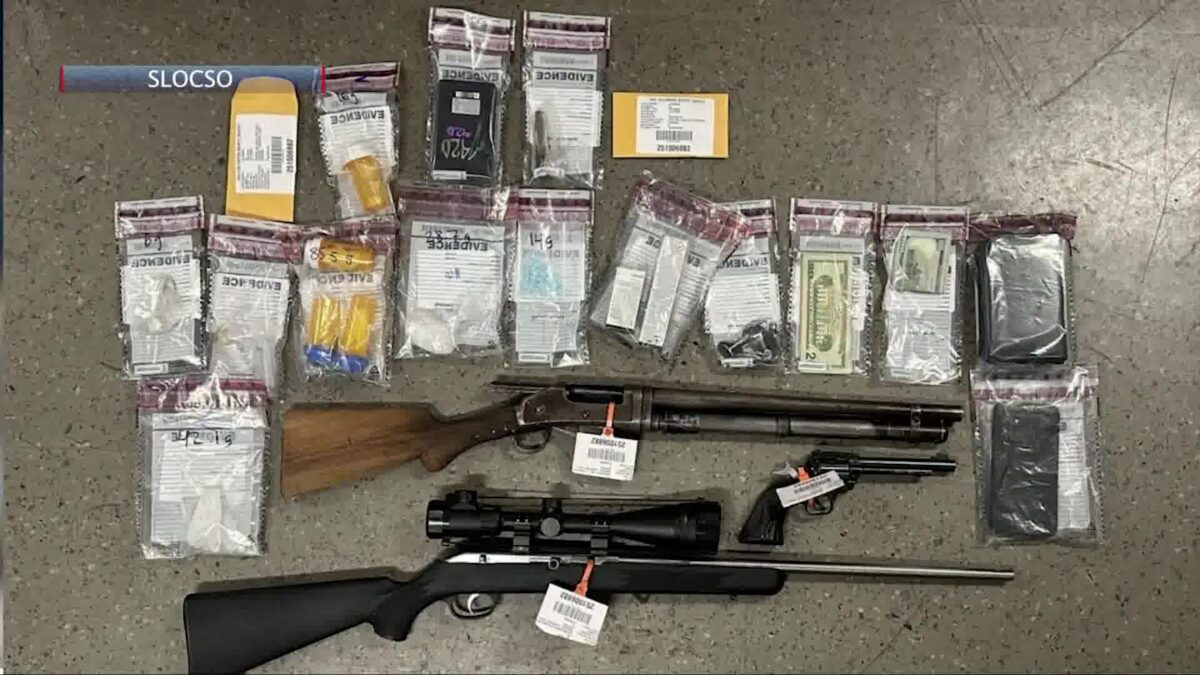 Deputies find firearms