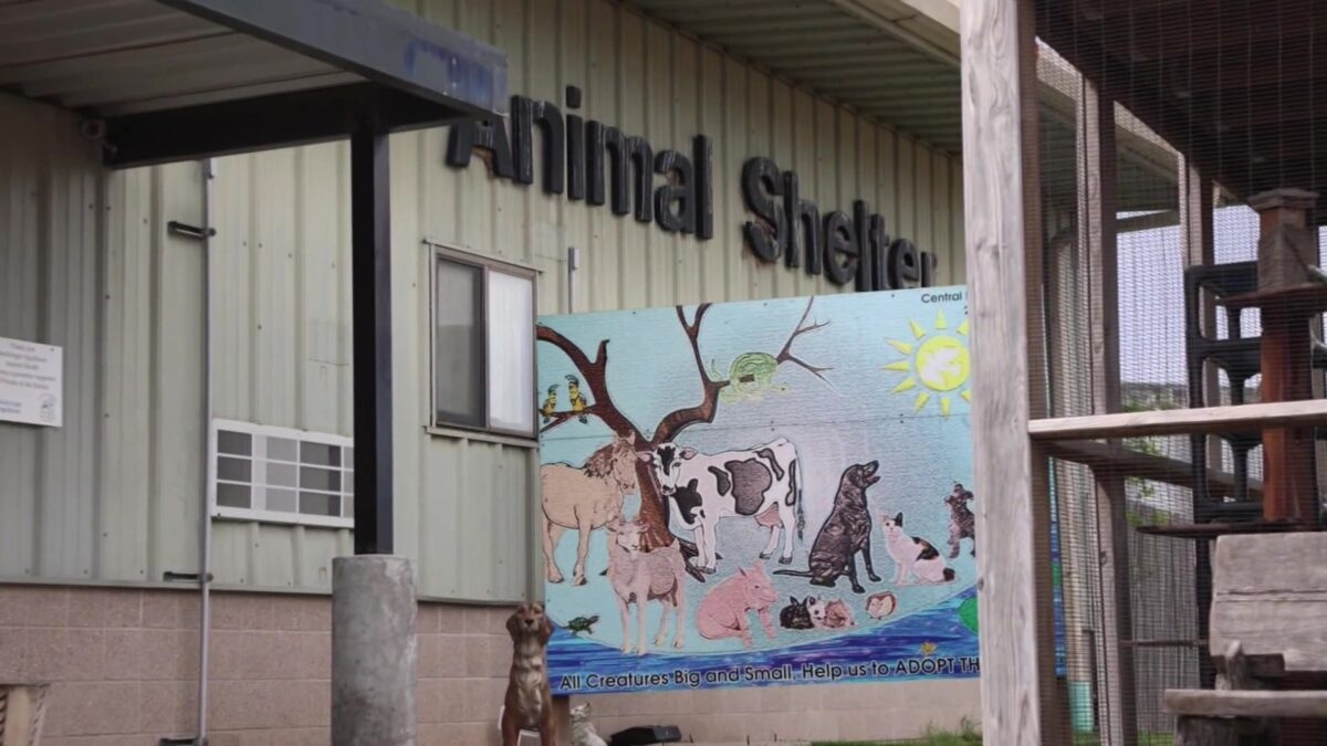 Over $20K raised for Friends of the Animal Shelter