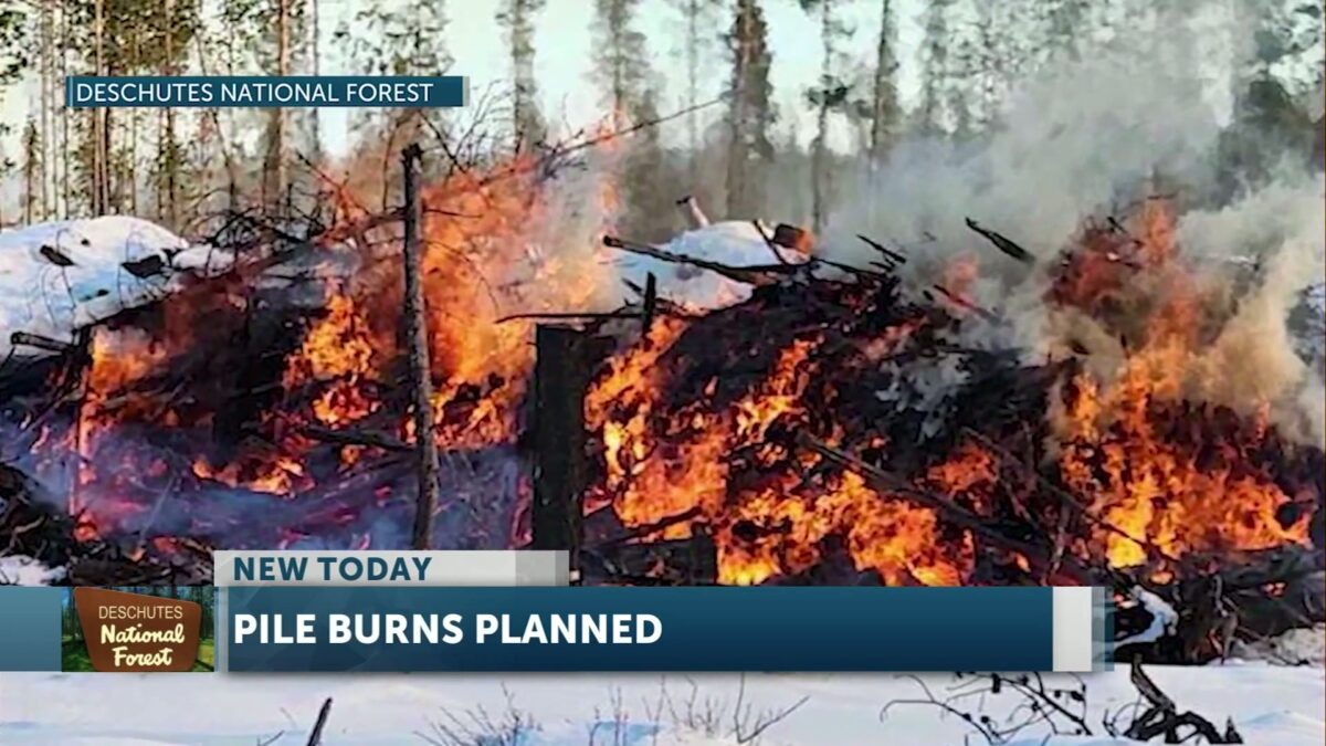 Deschutes National Forest plans up to 15