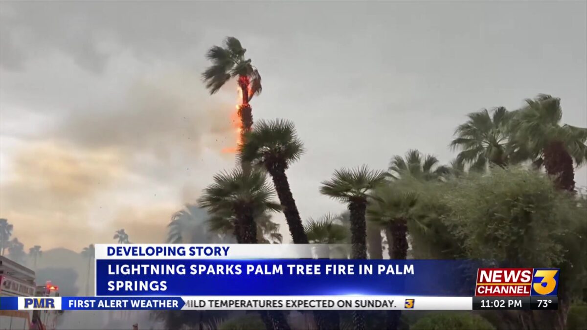 Lightning strike catches Palm Springs trees on fire