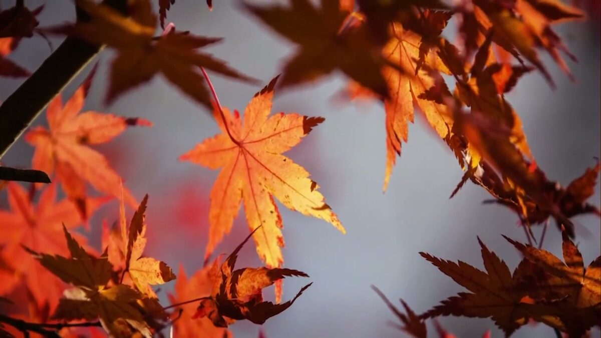 Changing seasons bring shifts in business – and daily life – across Central Oregon