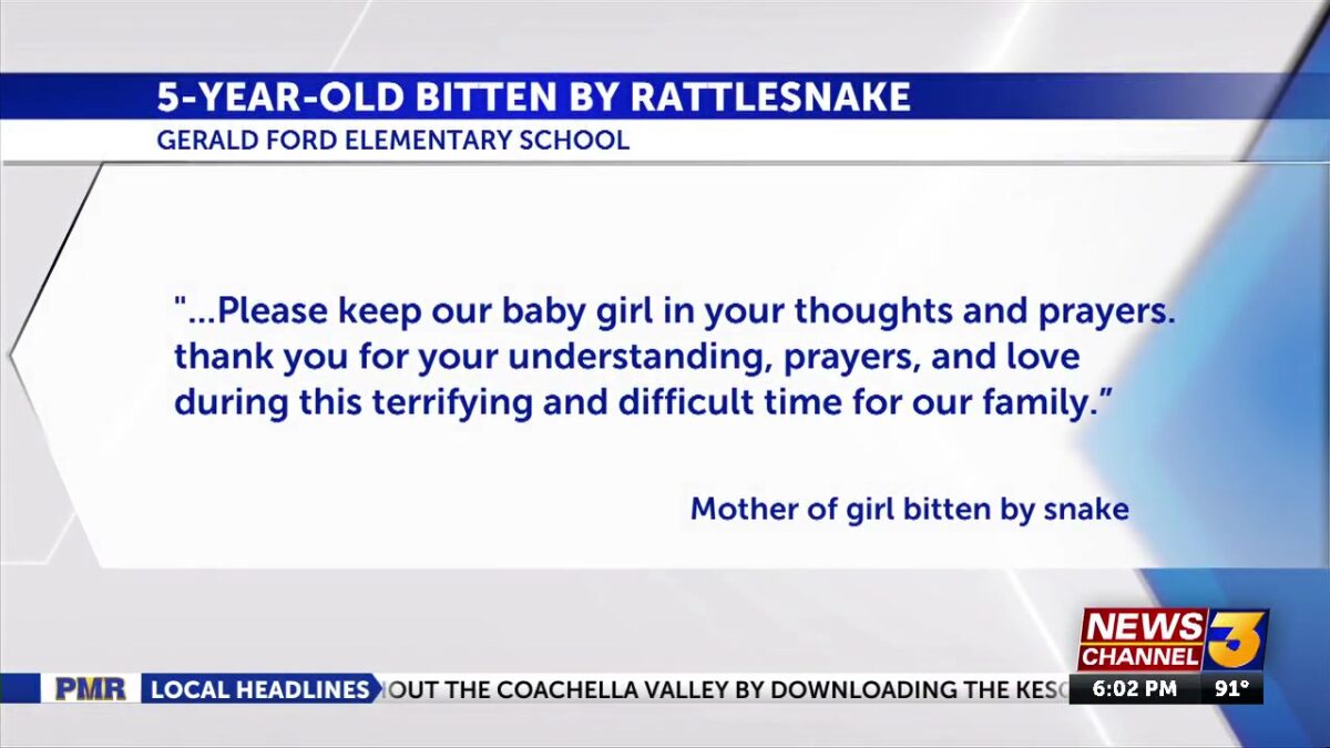 Local kindergartener bitten by rattlesnake released from hospital