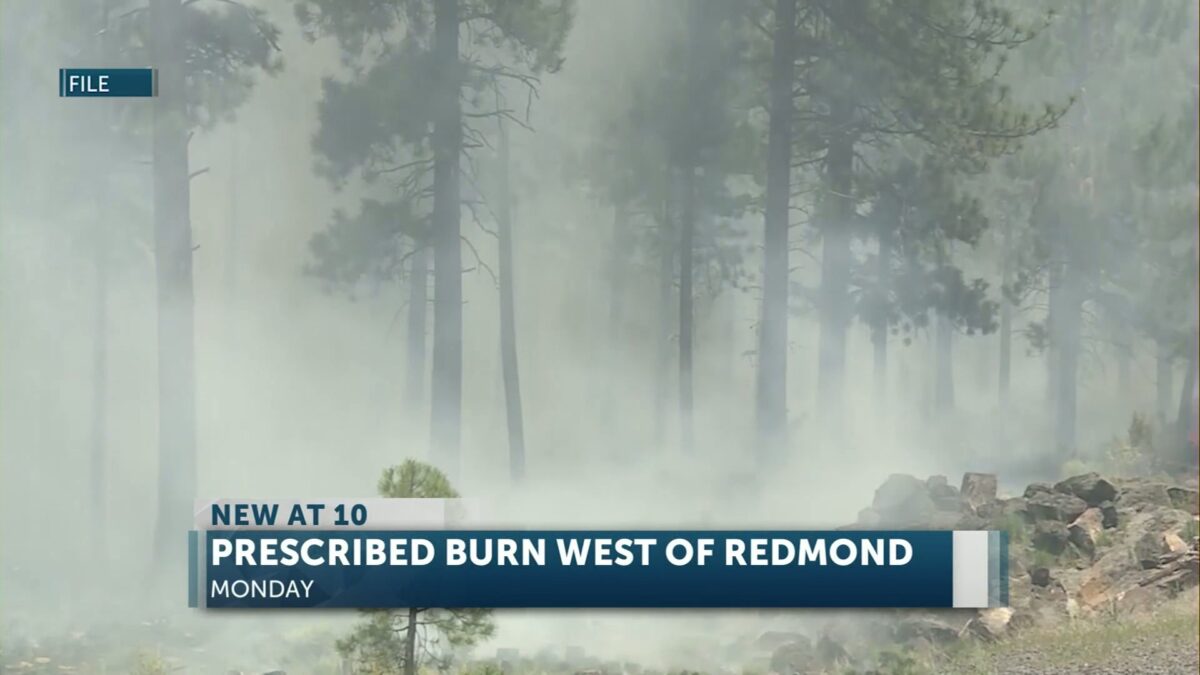BLM plans to burn nearly 100 acres of piles near Eagle Crest