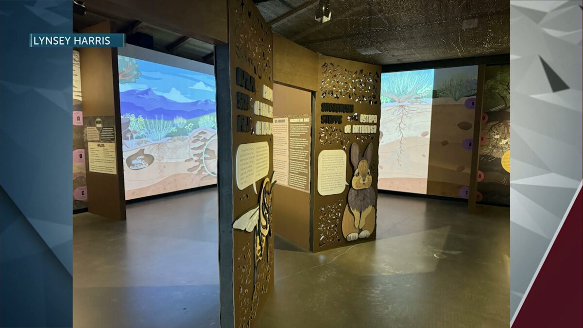 ‘The 20-Dollar Art Show’ brings thousands of small works to Bend’s High Desert Museum