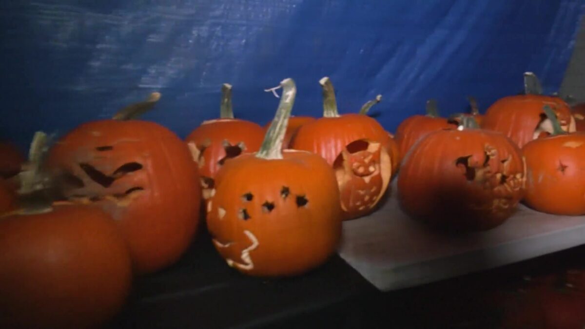 The face of Halloween: Experts explain the history of pumpkin carving