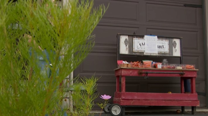 A Lakeville family has turned their driveway into a small