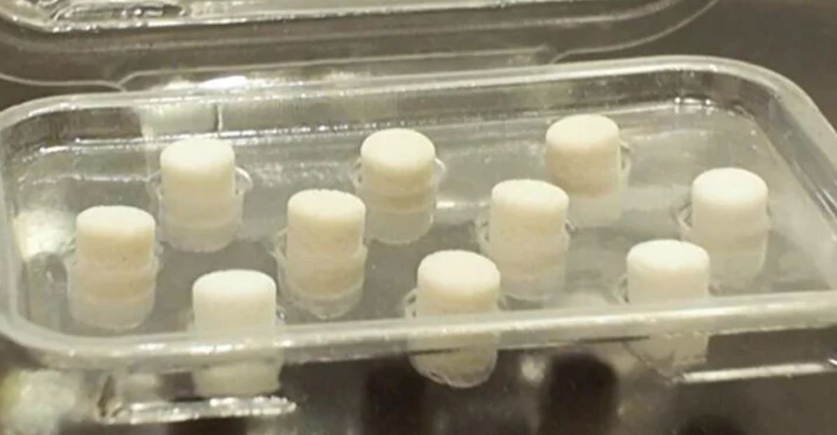 Coral from the sea is being used in some knee surgeries in Manhattan