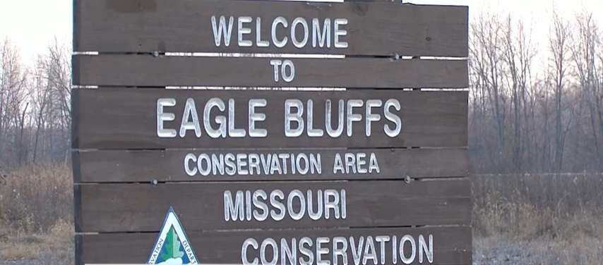 Eagle Bluffs viewing platform reopens