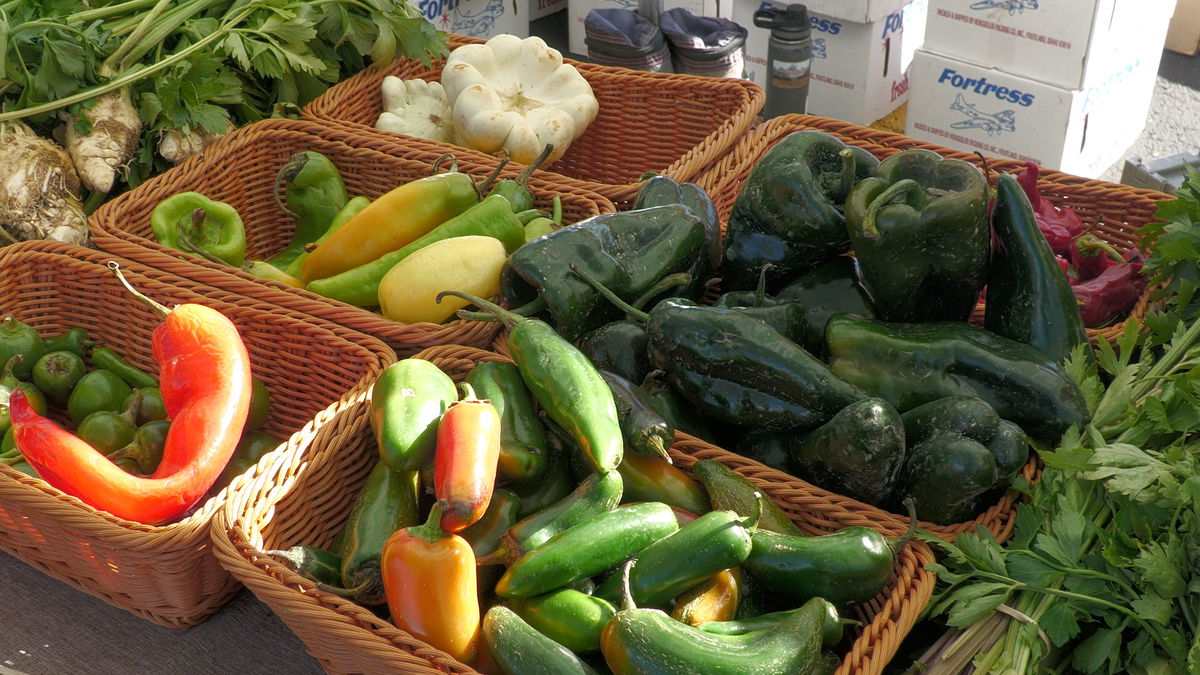 Idaho Falls Winter Market kicks off