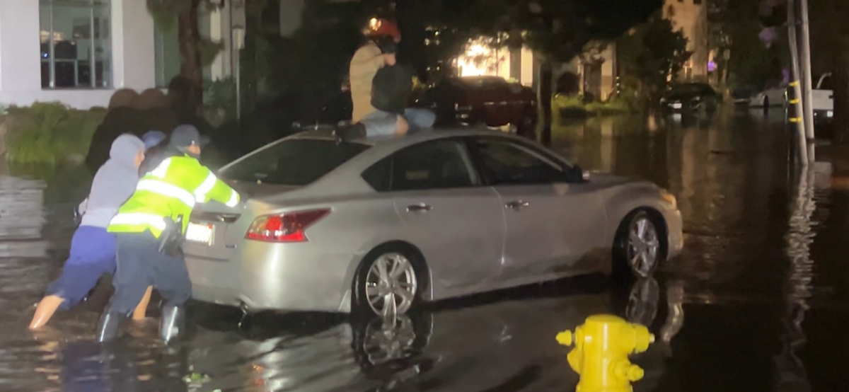 Rarely Seen November Rain Turns Streets into Rivers; Brings Down Trees in Several Areas