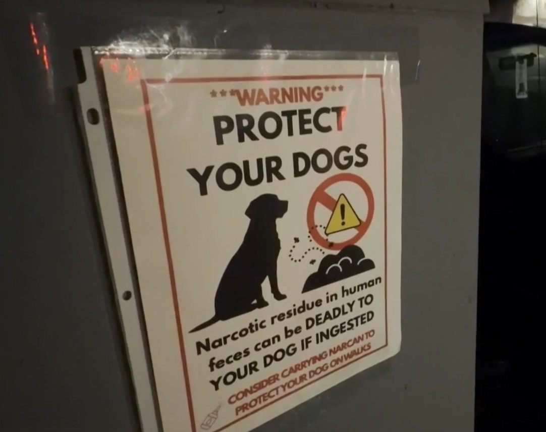 A couple said their dog became violently ill after eating meth after a Sunday morning walk in North Hollywood.