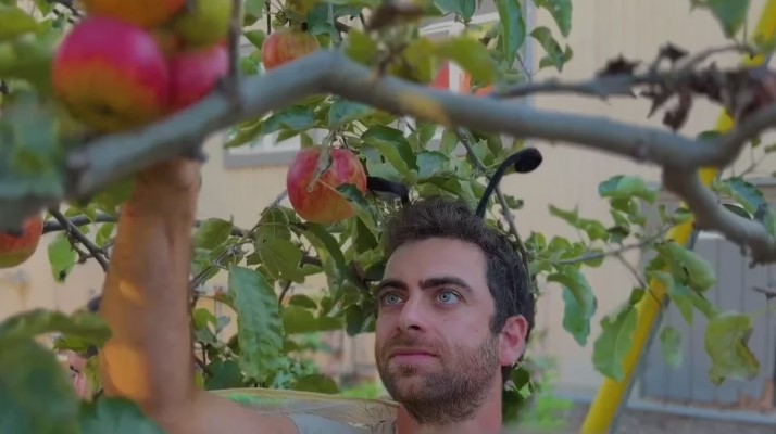 Daniel Goldberg is owner of Feral Ecology