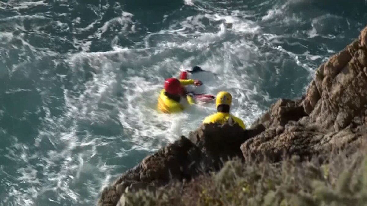 The sole survivor of a tragic crash in Turlock shares her journey of recovery and the loss of her family