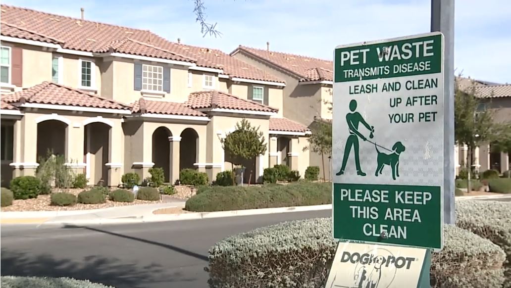 A dog found stuffed inside a trash bag in a Henderson neighborhood has died despite rescue efforts