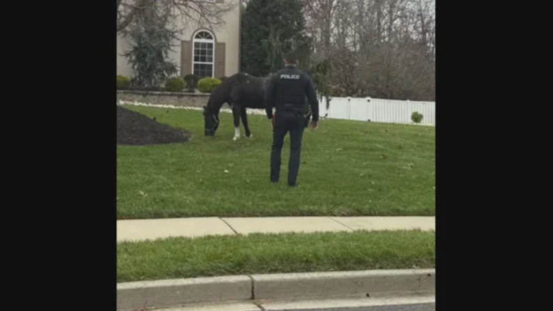 It was a wild sight to see Friday morning in a Gloucester County