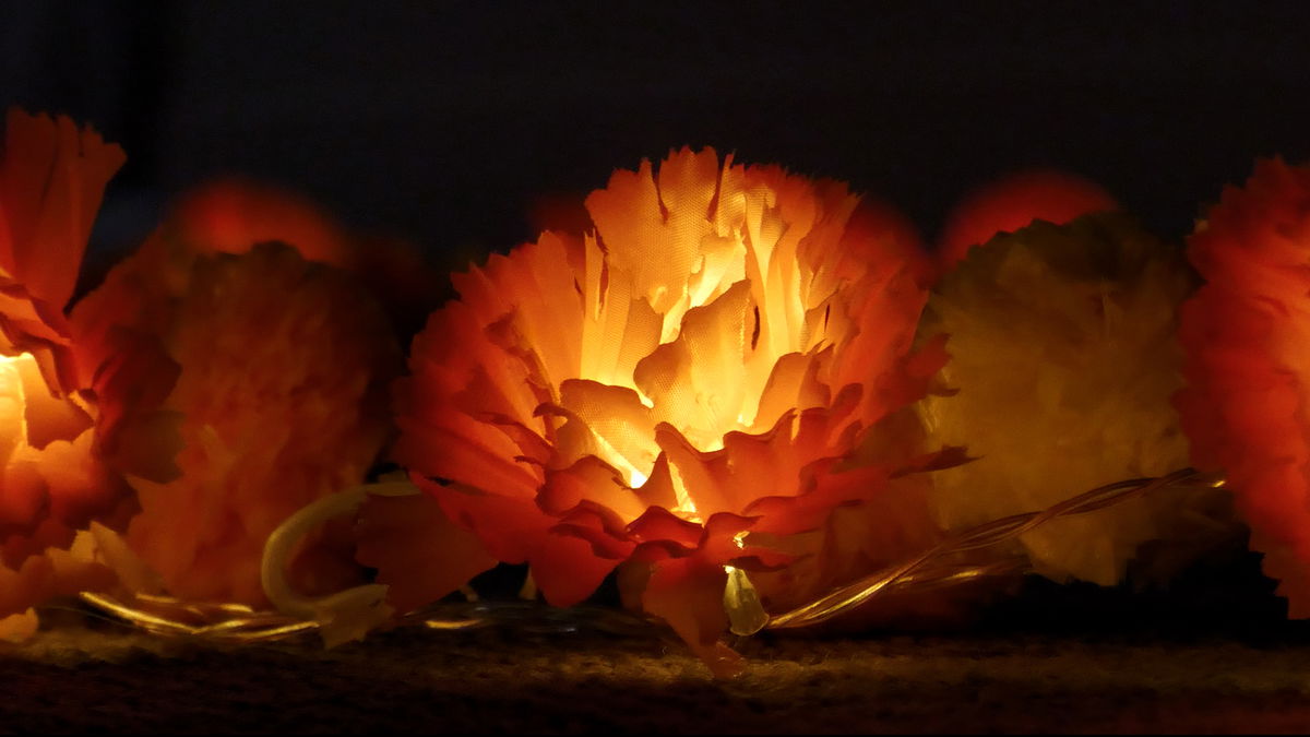 Idaho Falls celebrates Día de los Muertos