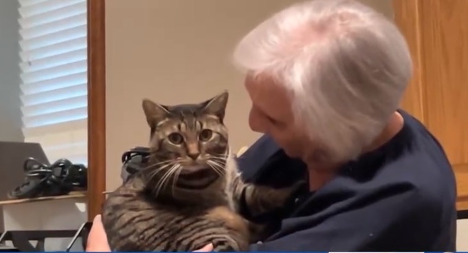 It's a pet owner’s worst nightmare — one second