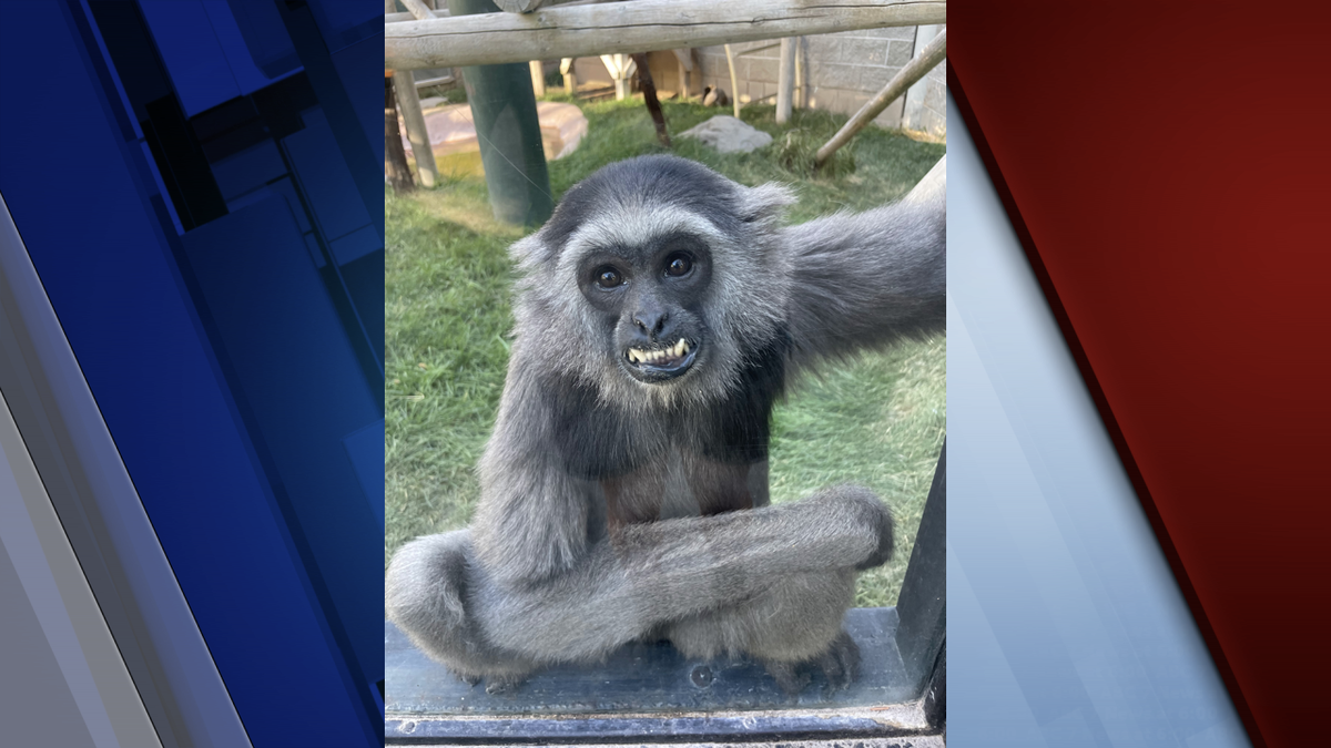 Idaho Falls Zoo mourns the loss of Sid