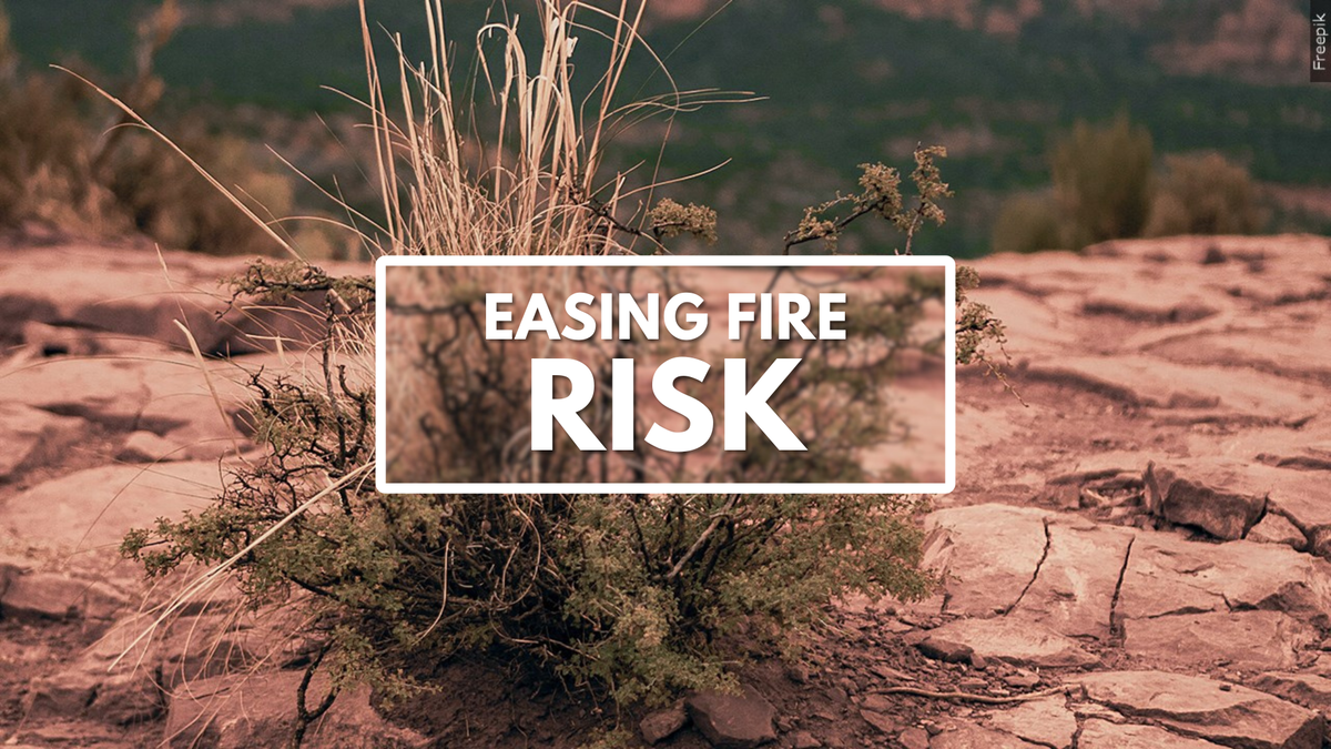 CAL FIRE lifts hiking restrictions as wet weather eases fire risk