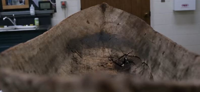 "We have no idea where it came from