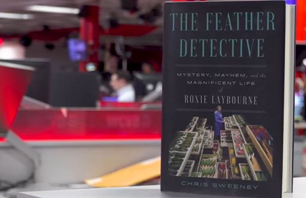 A plane crash in Boston Harbor 65 years ago shocked a nation into taking the threat of bird strikes seriously.