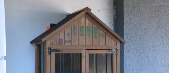 A wooden community food pantry built by Girl Scouts in Parkville was stolen and quickly returned.