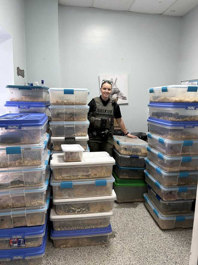 A South Carolina man