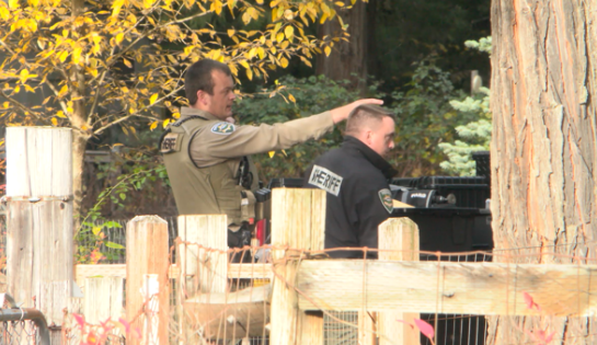 The shootout started from a domestic dispute.