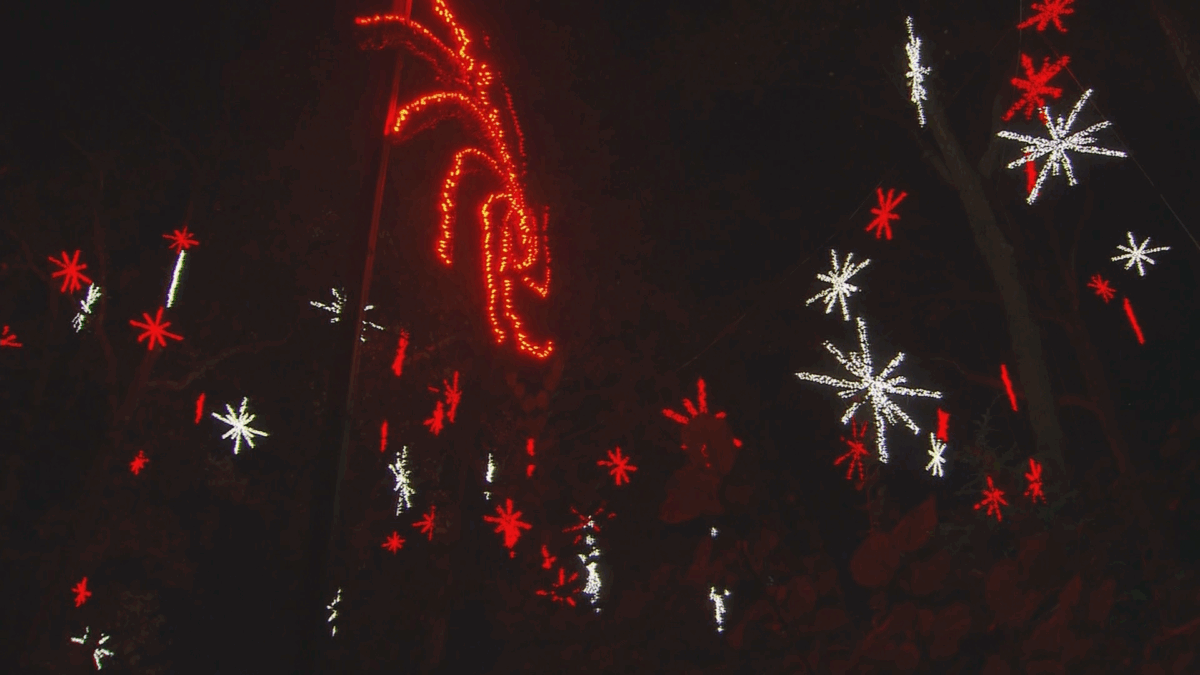 Fire department shares how to avoid hazards with holiday lights