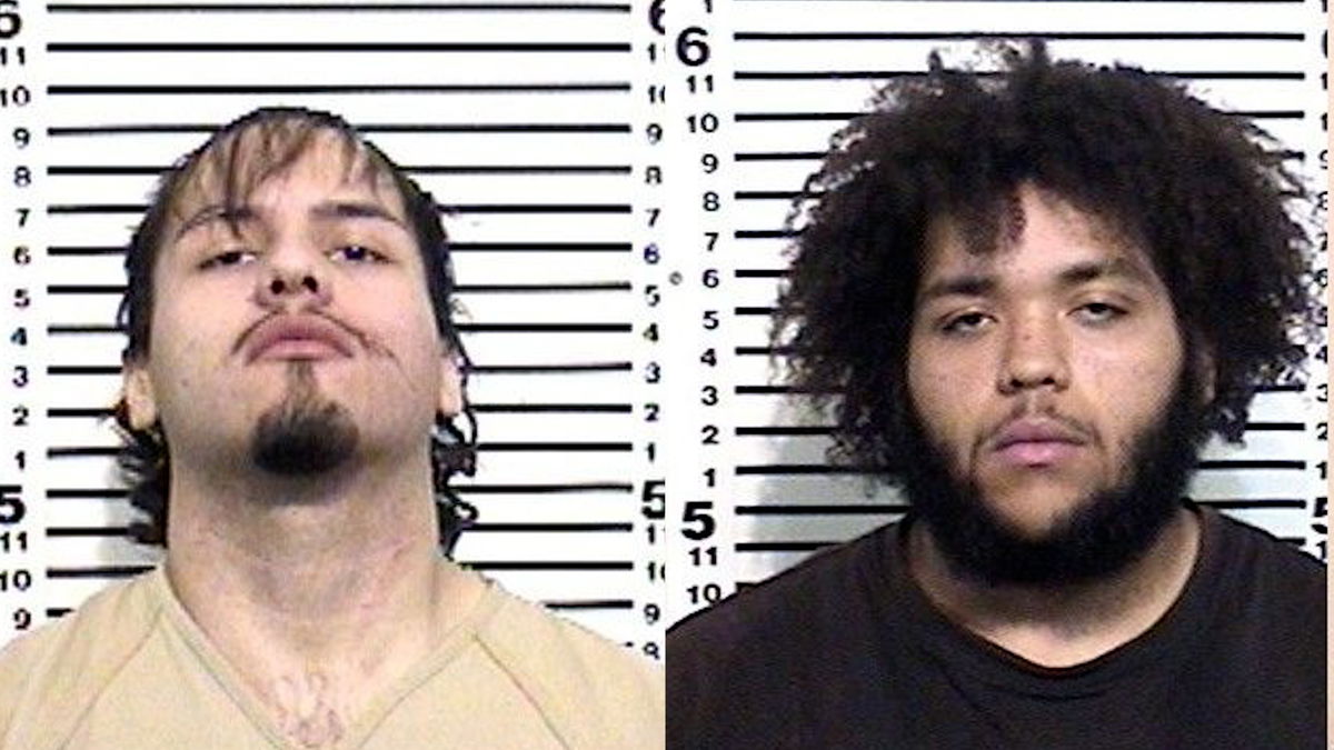 Two men arrested after fleeing from traffic stop