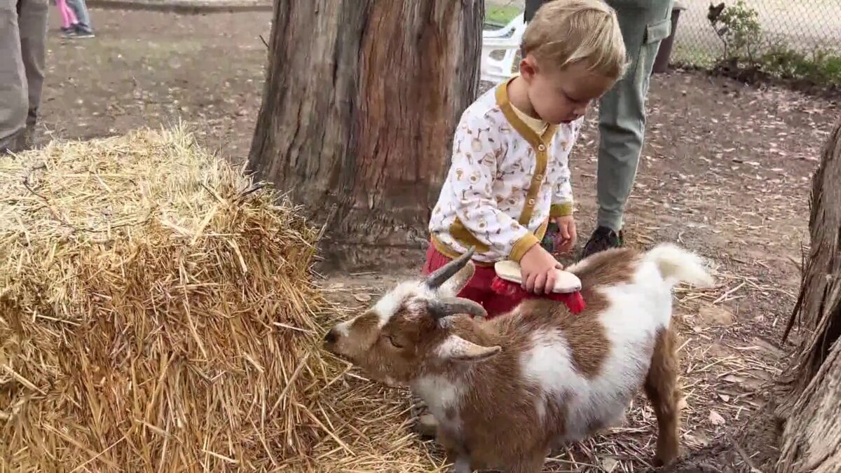 Stow House welcomes Coffee and Community and Sundays at the Ranch visitors