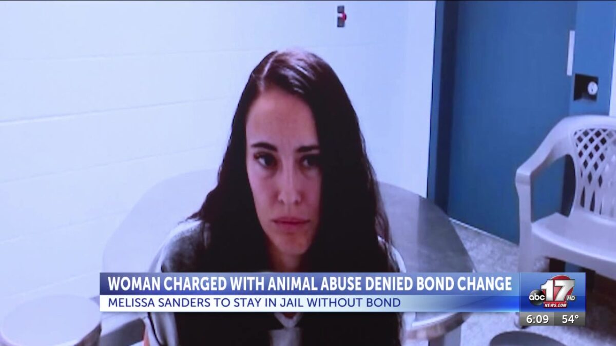 Tyson Smith plans to prefile legislation on dog-breeding facilities; woman appears in court for Columbia animal abuse care