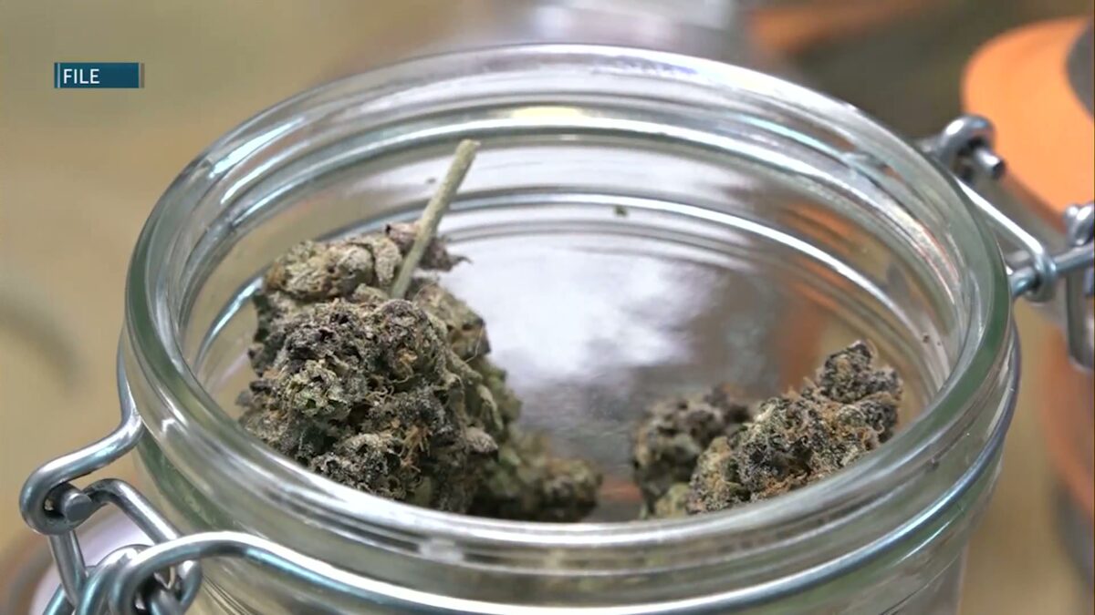 Federal government weighs ban on THC gummies and drinks