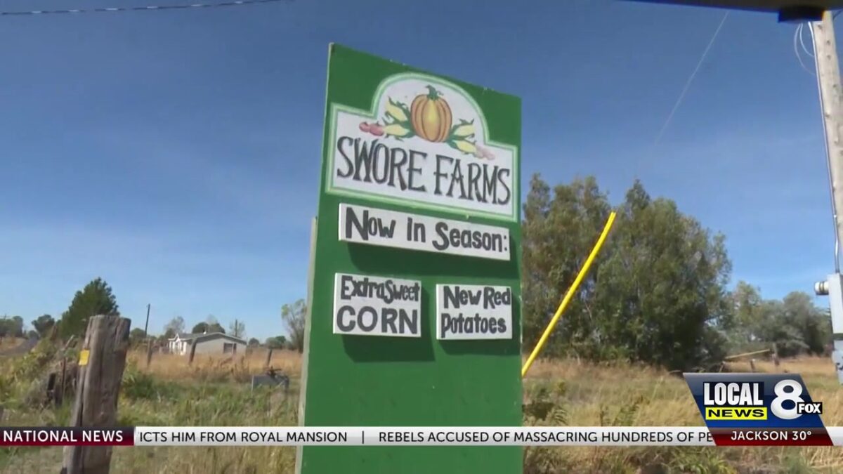 Community rallies to save Swore Farms’ Pumpkin Patch from frost