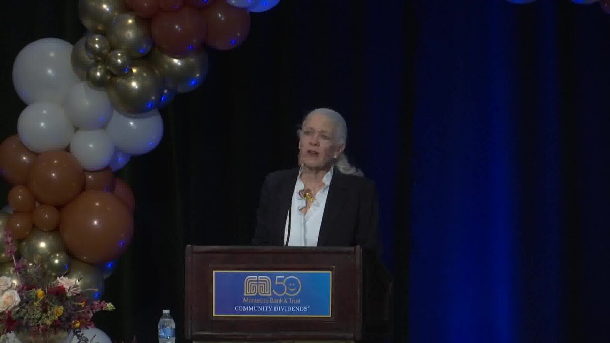 Nearly 200 Non-Profits to Divide a Share of $1-Million in a Special Dividends Luncheon