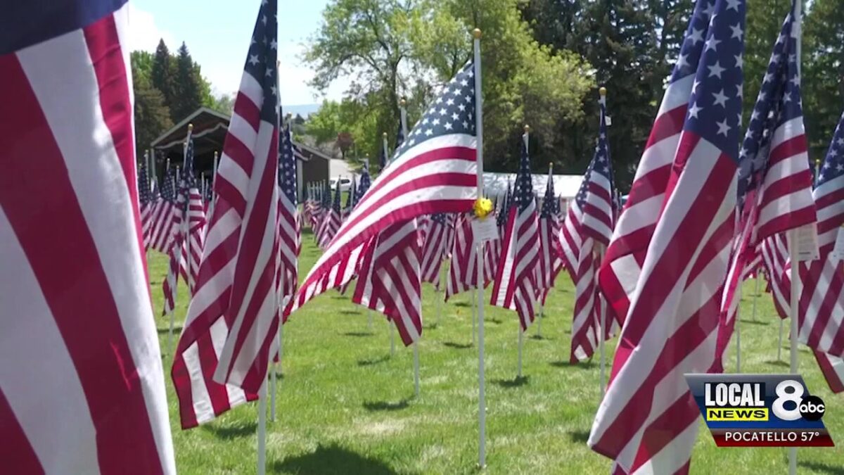 Veterans Day in Southeast Idaho: Honoring service while facing the reality of PTSD