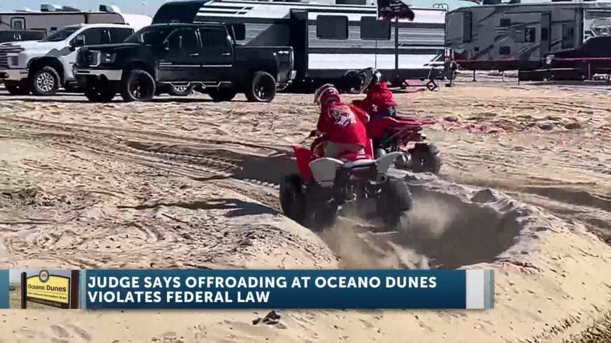 Judge Says Off-Roading At Oceano Dunes Violates Endangered Species Act