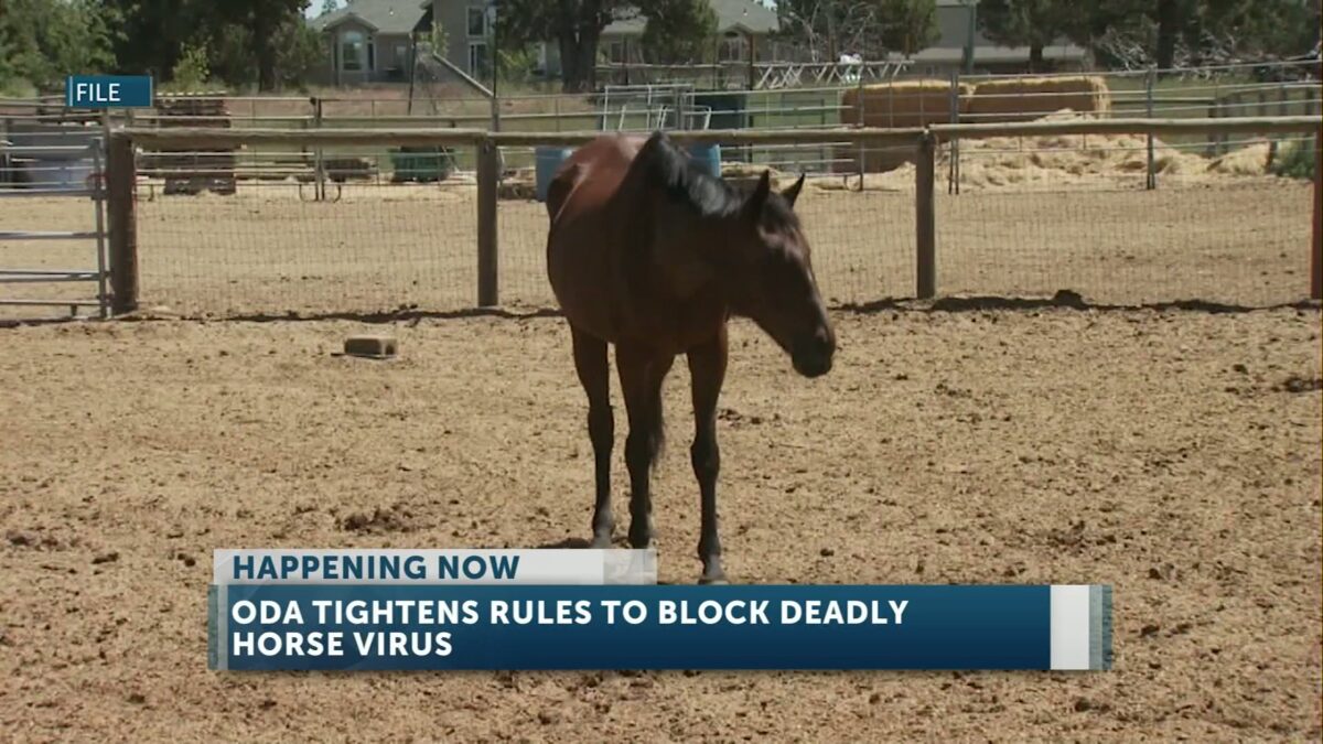 Oregon Department of Agriculture issues temporary rules to help prevent the spread of equine herpesvirus 