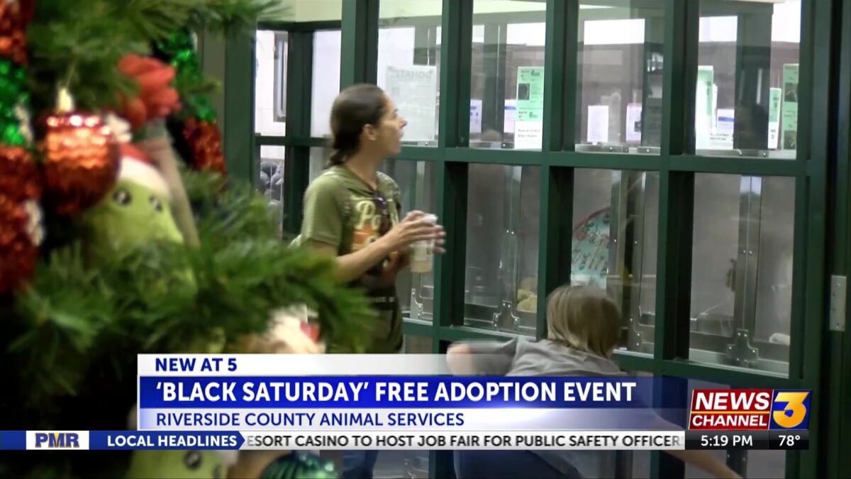 Riverside County Animal Services prepares for ‘Black Saturday’ free adoption event