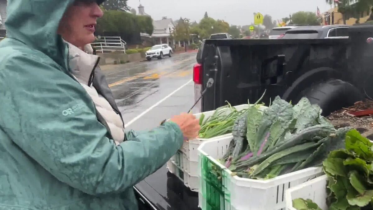 Summerland Farm and Non-Profit Meet Organic Food Demand for Low Income and Medically Fragile South Coast Residents