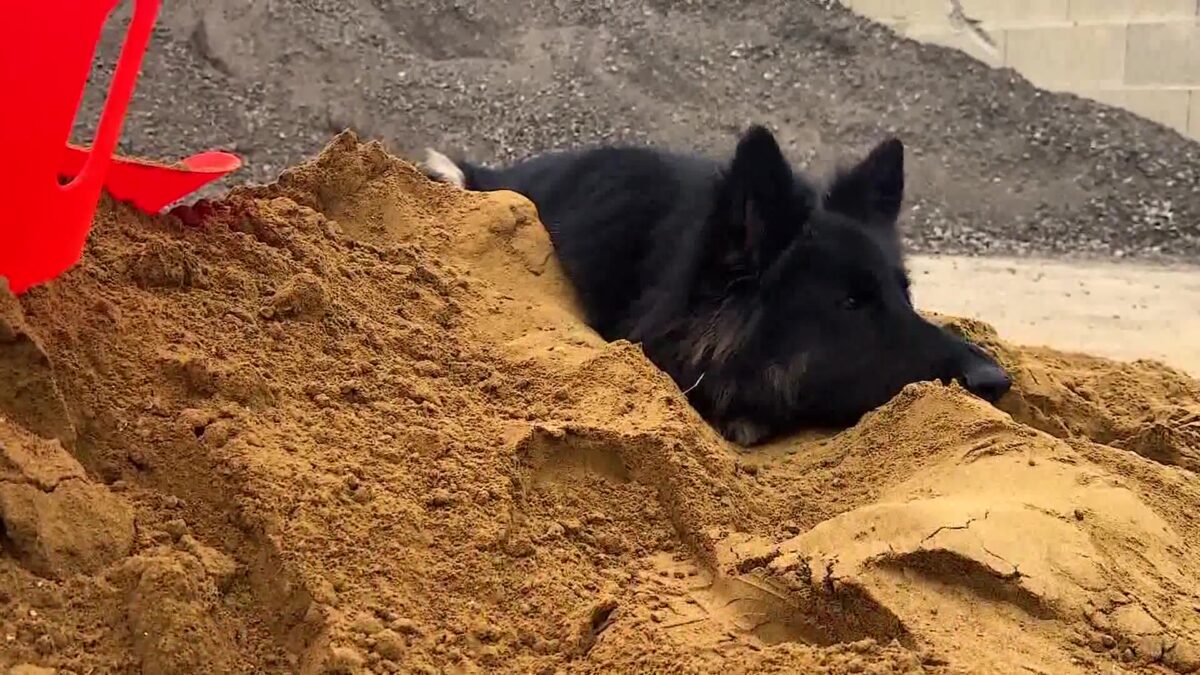 Residents Scramble for Sandbags as Powerful Storm Hits Southern California