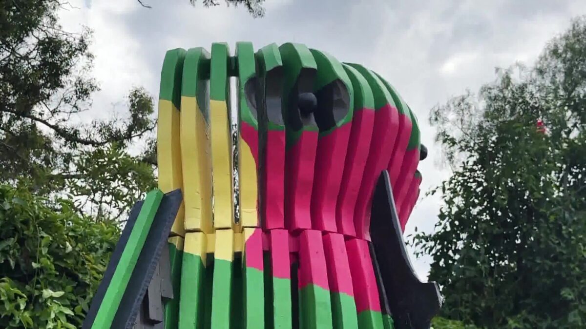 Parents Create Hummingbird Hideaway for Santa Barbara Students