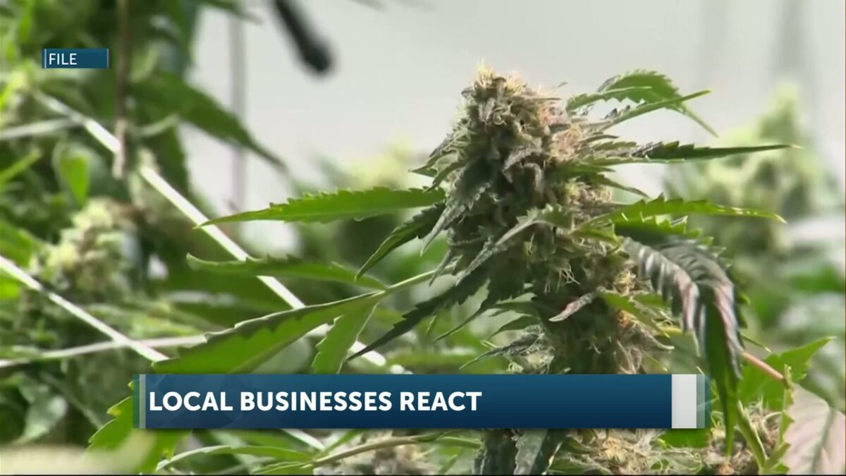 New law raises concerns of Oregon cannabis consumers