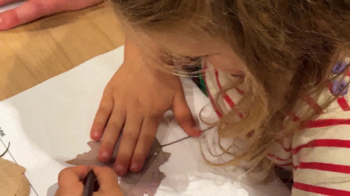 Nature Comes to Life in New “Living Print” Exhibit at Natural History Museum