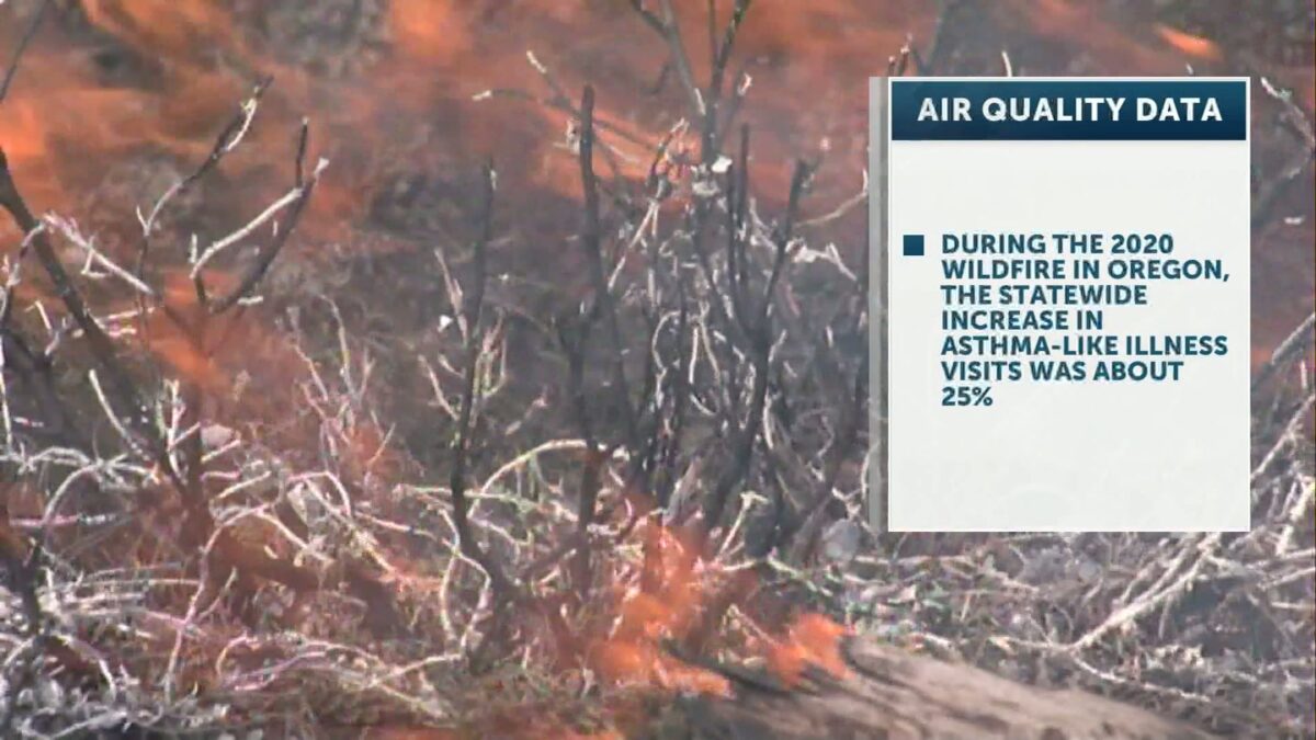 New Oregon health data shows rise in emergency room visits when air quality is poor