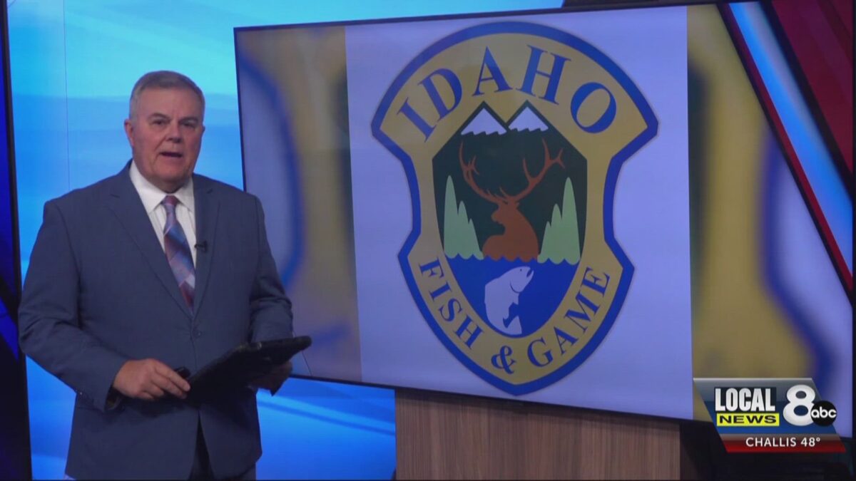 Fish and Game forced to put down food conditioned bears in Teton County