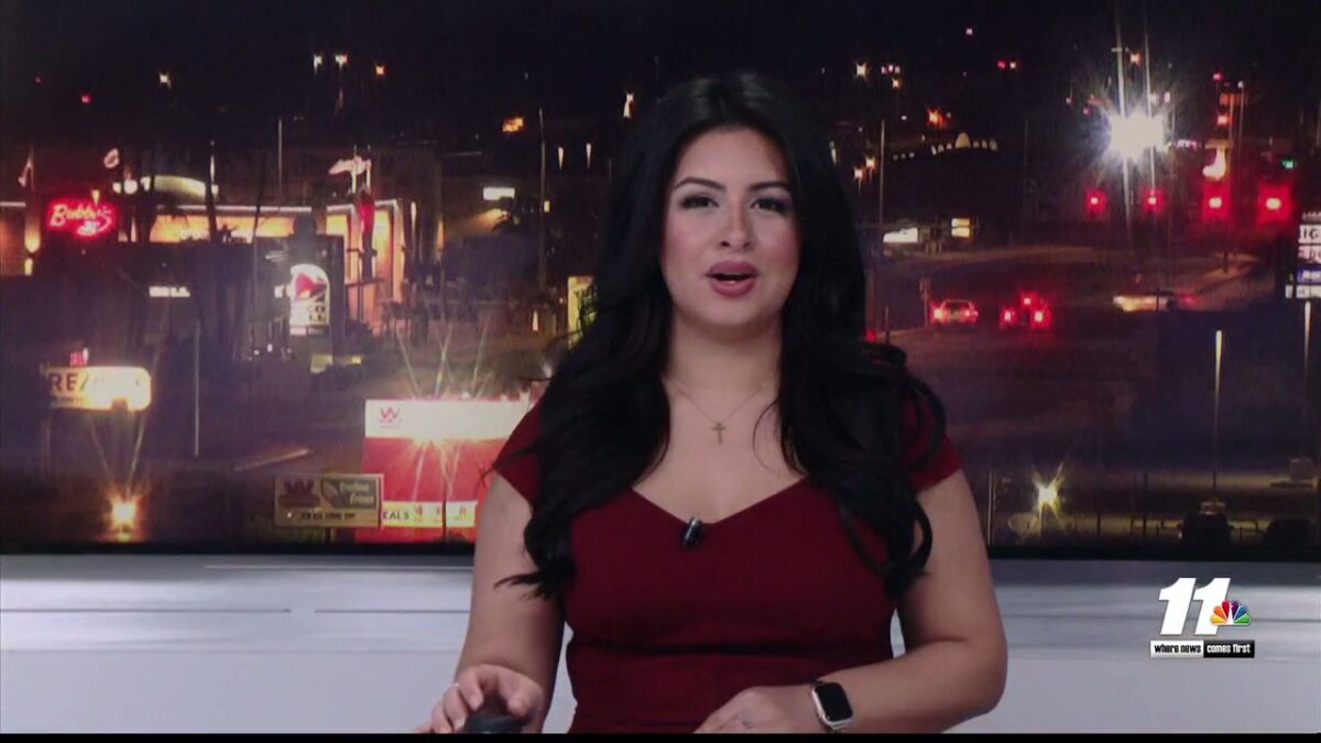 Yuma cat shelter asks community for help