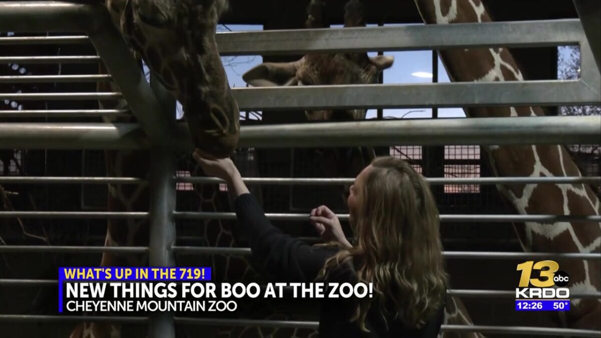 New Halloween ‘Dog Days’ event before final ‘Boo at the Zoo’ at Cheyenne Mountain Zoo