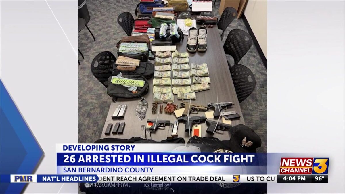 CV man among 26 suspects arrested during illegal cock fighting operation in San Bernardino County